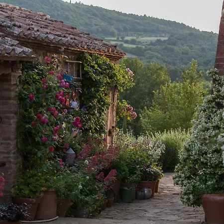 Follonico 4-Suite B&B-3
